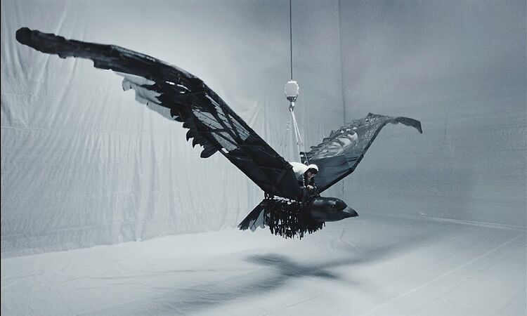 Tsar B - Amor (official video)