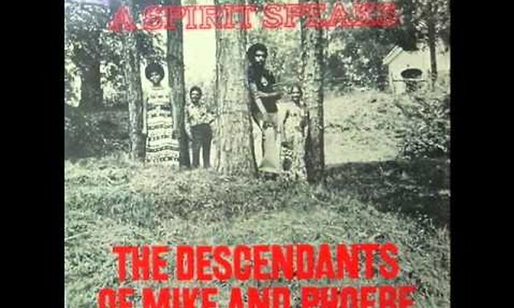 A Spirit Speaks - Chick Chick