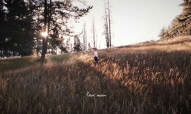 Tom Misch - Red Moon (Official Lyric Video)