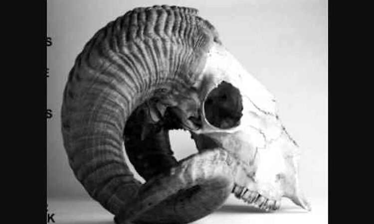  Kiss The Anus Of A Black Cat - Argonaut And Magneto