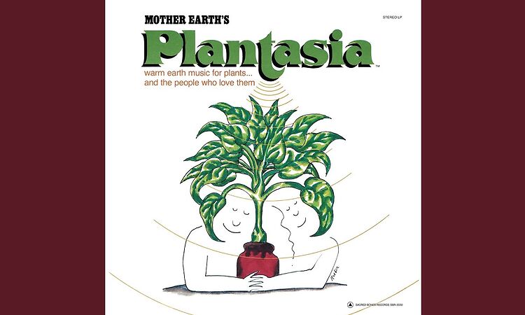 Ode to an African Violet