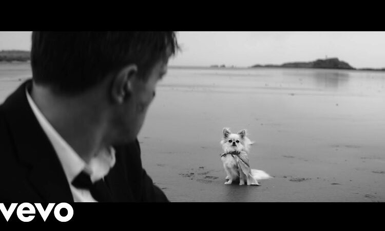 Phoebe Bridgers - Savior Complex (Official Video)