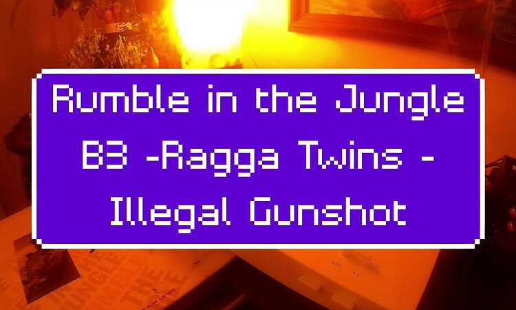 Rumble in the Jungle - B3 – Ragga Twins - Illegal Gunshot