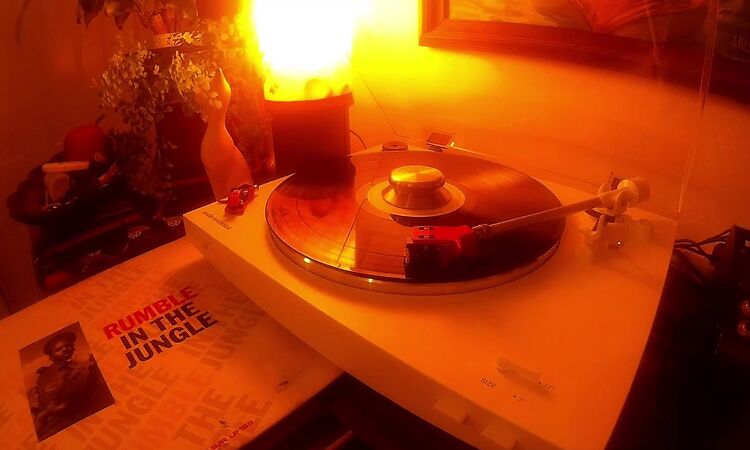 Rumble in the Jungle - C2 - Asher Senator - One Bible