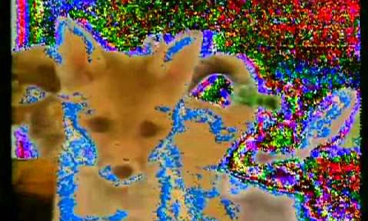 Charanjit Singh - Raga Kalavati