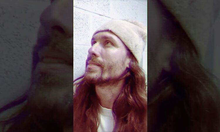 Fuzzy Bears — I Likes You