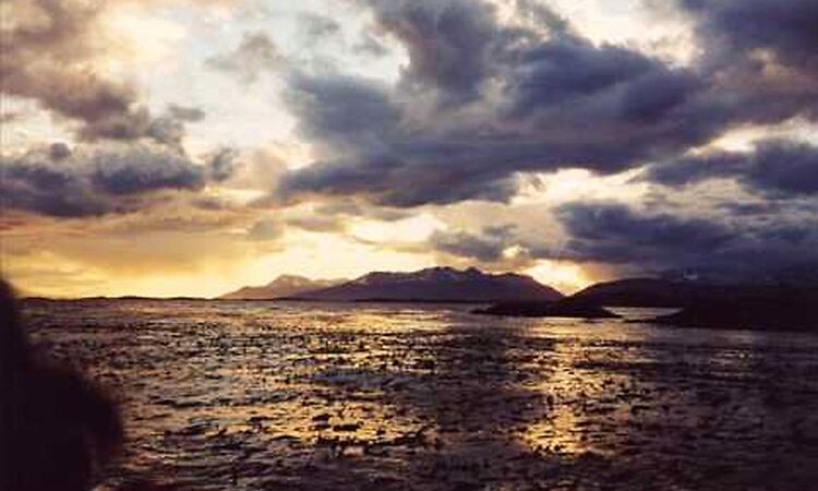 The Album Leaf  - The Mp