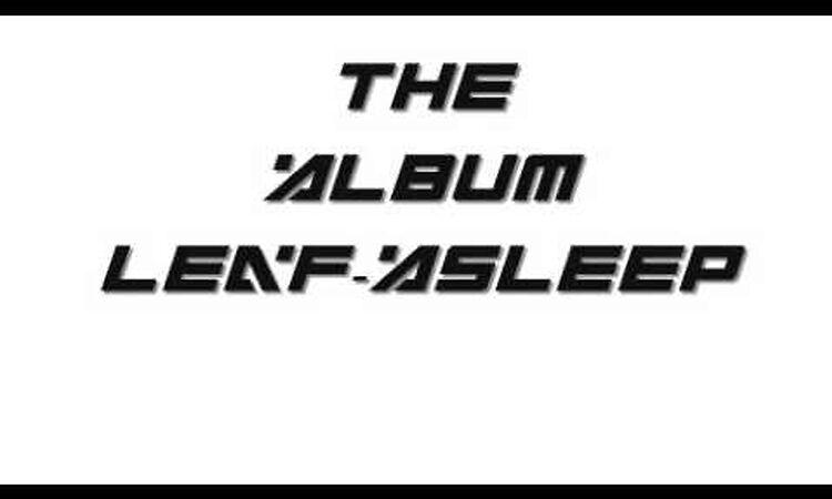 The Album Leaf-Asleep