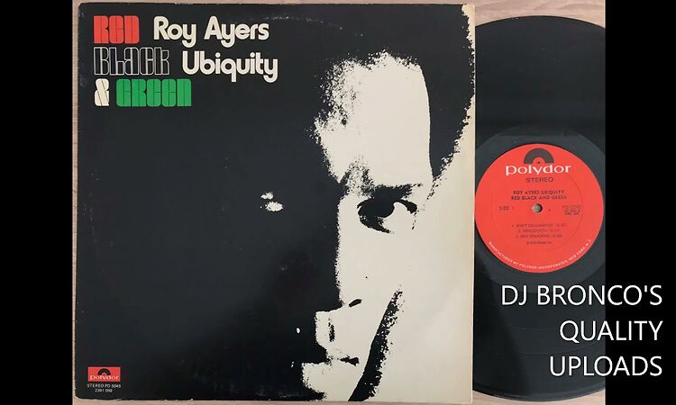 ROY AYERS UBIQUITY * AIN'T NO SUNSHINE * RED BLACK & GREEN