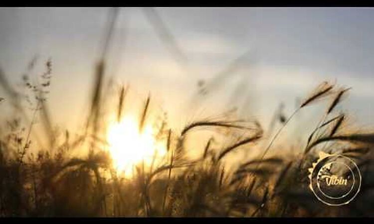 JMJ & Flytronix – In Too Deep