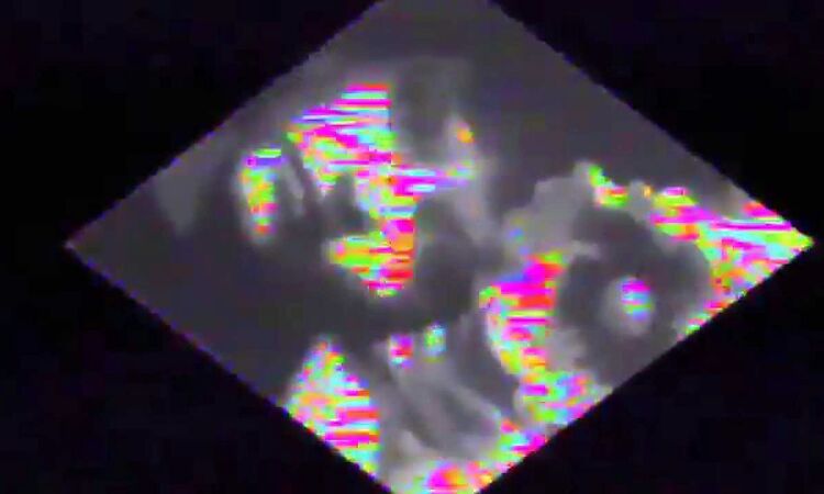 WAGONMAN Movoco Synthaca