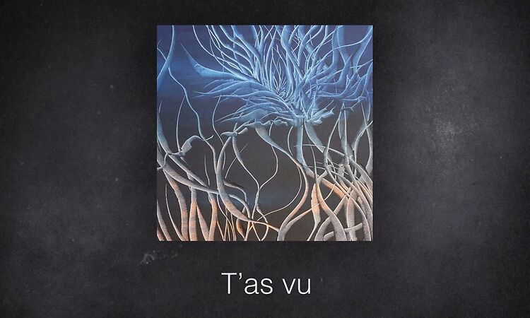 Zaz - Comme tu voudras (Lyrics video)