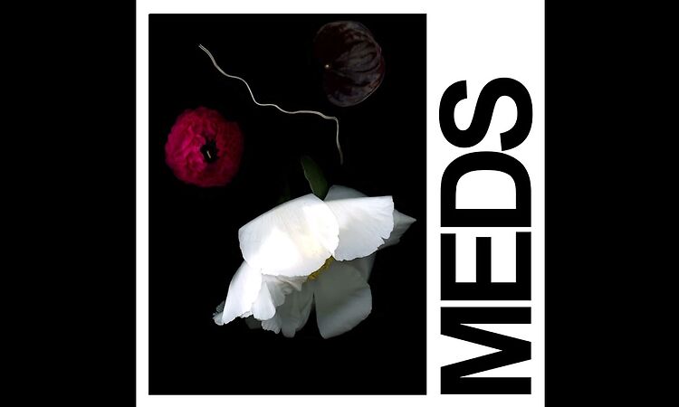 IDLES - MEDS (Official Audio)