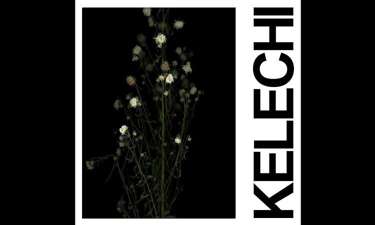 IDLES - KELECHI (Official Audio)