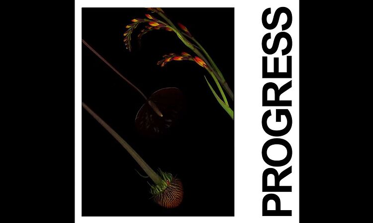 IDLES - PROGRESS (Official Audio)