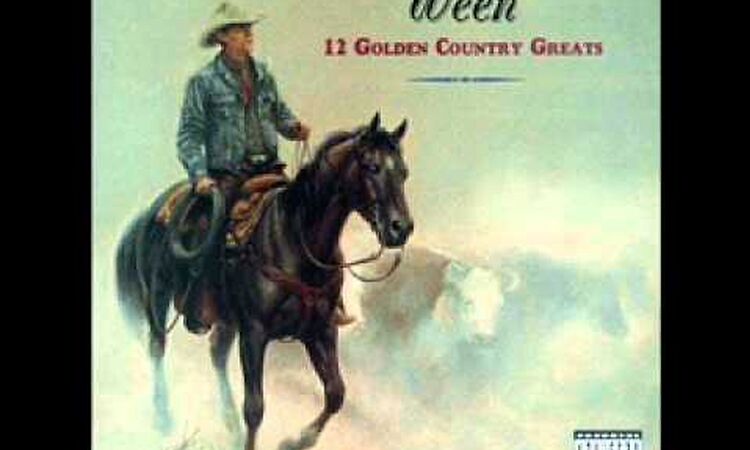 Ween - Japanese Cowboy