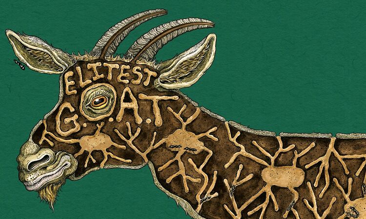 Sleaford Mods feat. Aldous Harding - Elitest G.O.A.T. (The Prodigy Acid Thunder Remix)