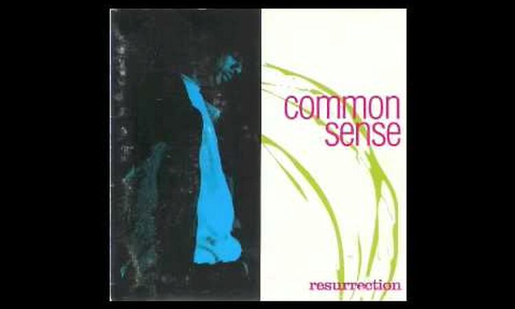Common Sense - Thisisme