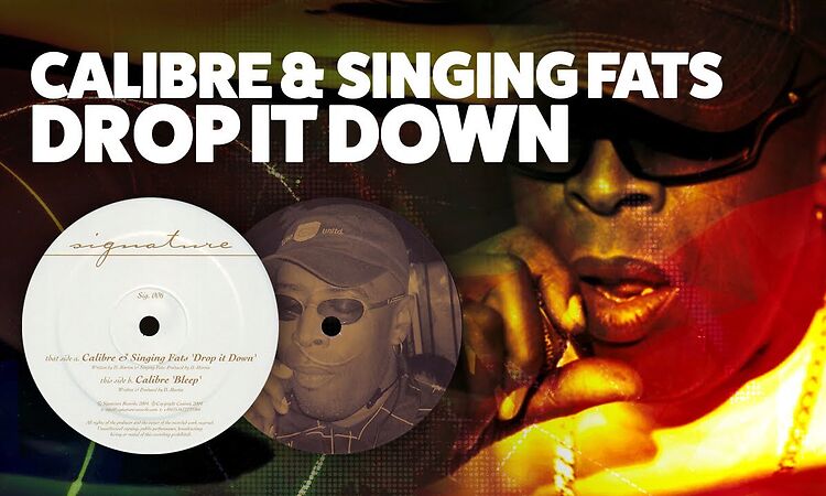 Calibre & Singing Fats - Drop It Down (2004)