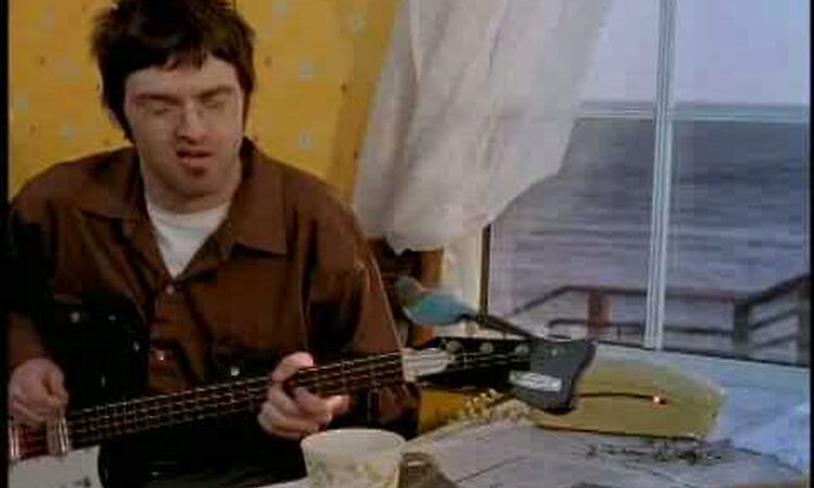 EELS Flyswatter