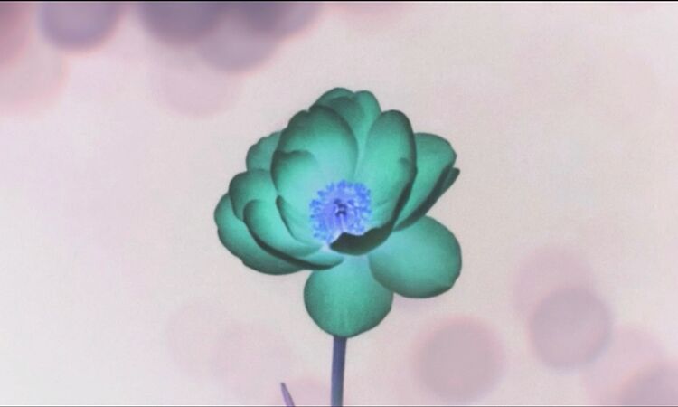 maya ongaku - Astral Echoes (Official Music Video)