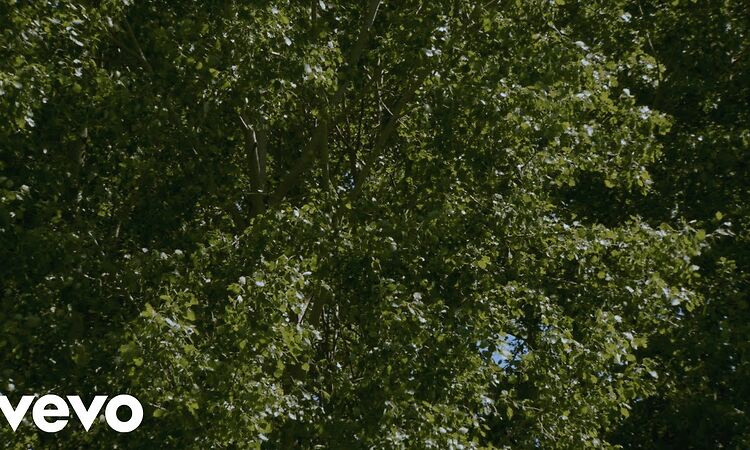 Agnes Obel - Laymelli (Visualizer)
