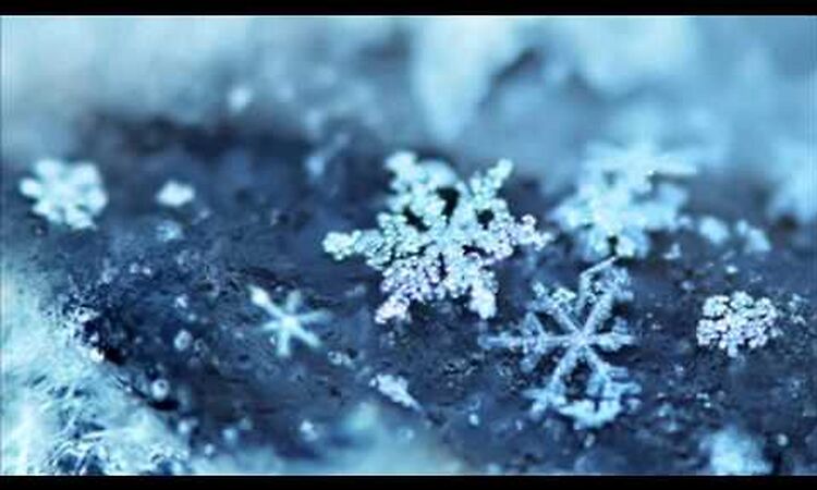 Larry Heard - Crystal Fantasy