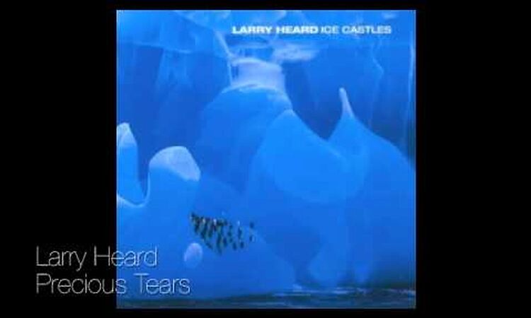 Larry Heard - Precious Tears