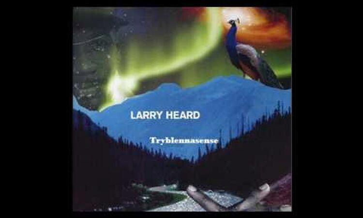 Larry Heard - Tryblennasense