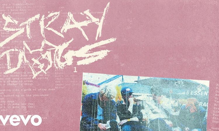 Nothing But Thieves - Stray Dogs (Official Audio)