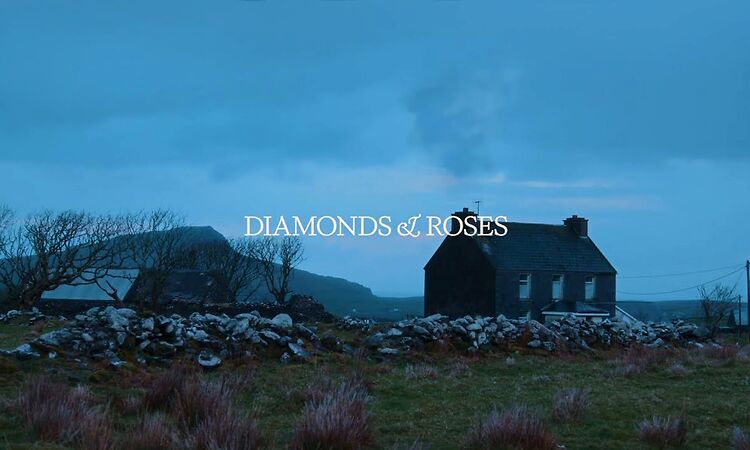 Kingfishr - Diamonds & Roses (Official Visualiser)