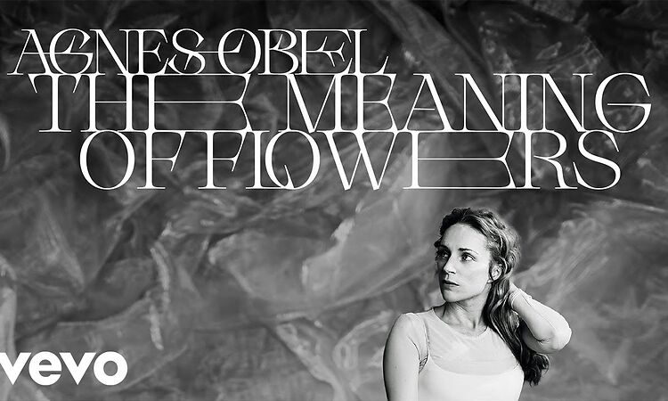 Agnes Obel - The Meaning of Flowers (Visualizer)