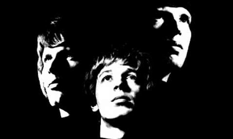 The Walker Brothers - The Electrician