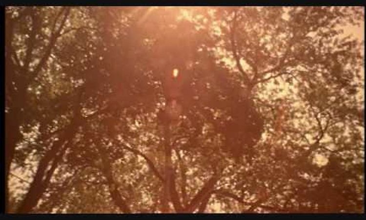 Playground Love - Air from The Virgin Suicides