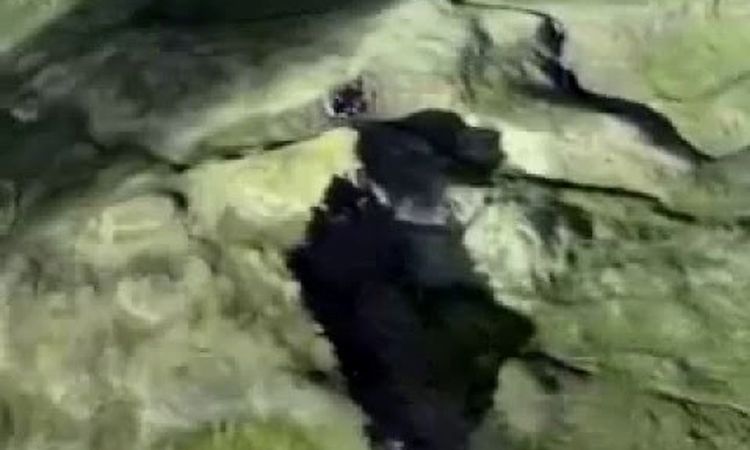 björk - jóga