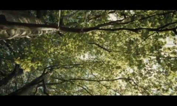Trentemøller - Like Two Strangers