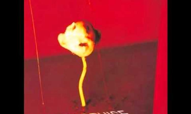 Julee Cruise - Questions In A World Of Blue (Album Version)