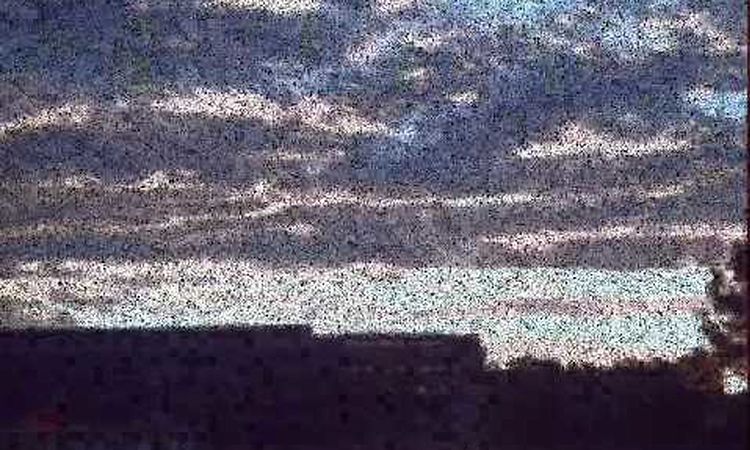 Throbbing Gristle - Spirits Flying - Live in 1980 - Fan Edit Video - VERY RARE TG