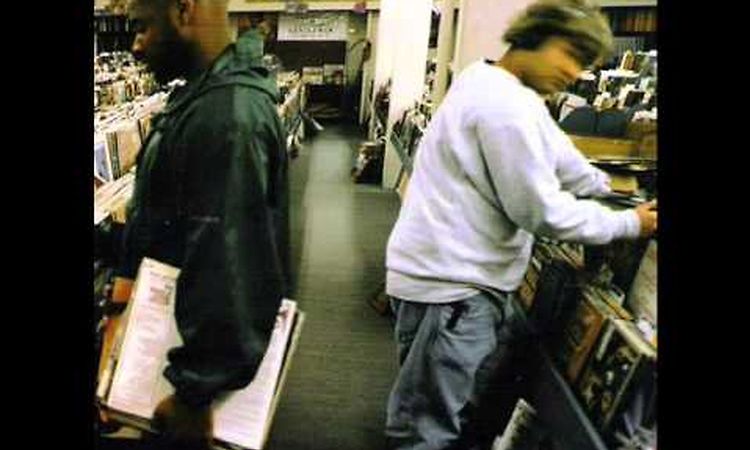 Dj Shadow (Endtroducing) - Tracks 4-5