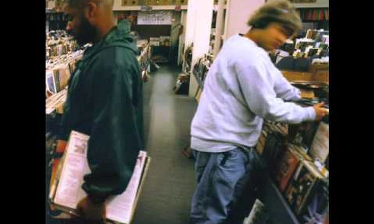 DJ Shadow - stem / long stem