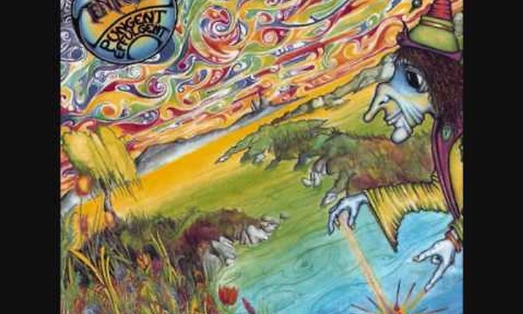Ozric Tentacles - Shaping the Pelm.wmv