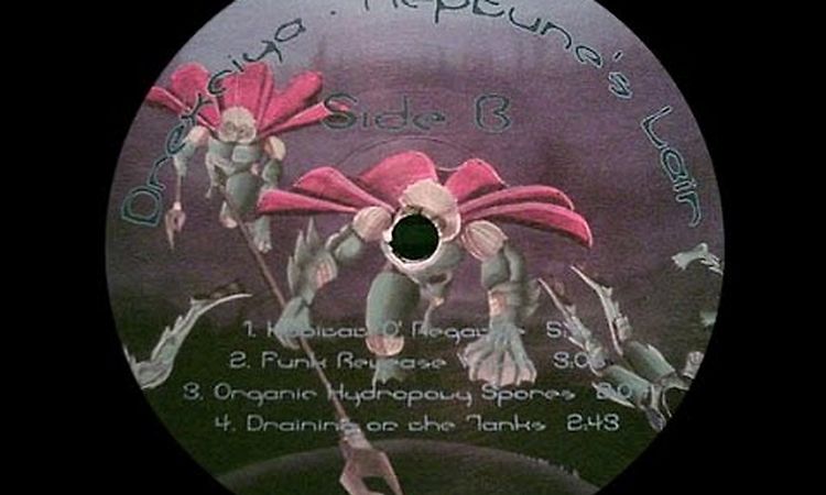 Drexciya - Draining Of The Tanks