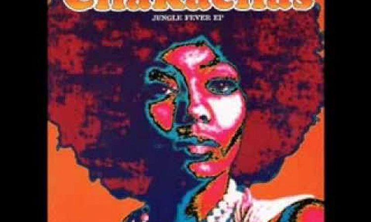 Jungle Fever - Chakachas  (1972)