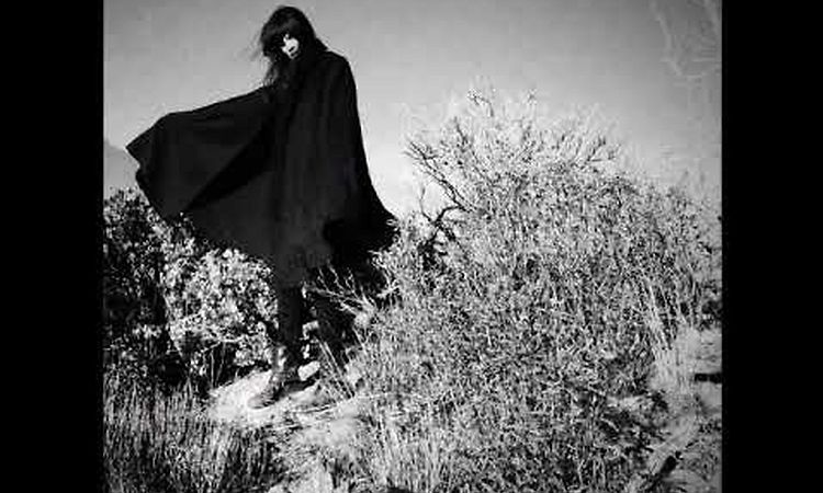 Wolvennest - Vortex (2019)