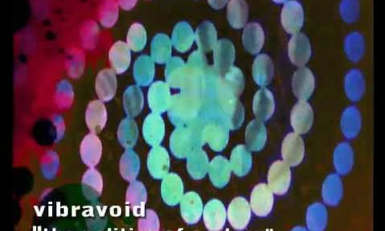 Vibravoid - The Politics Of Ecstasy - HQ Stereo Version