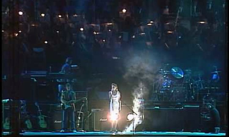 Roger Waters - The Thin Ice [Live in Berlin]