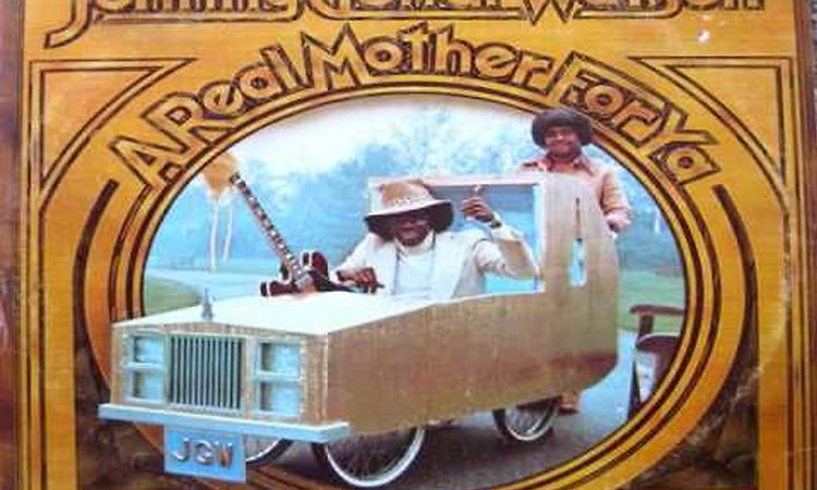 Johnny Guitar Watson - A Real Mother For Ya 1977